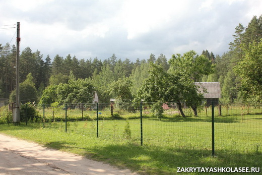 Родные и Любимые места Агаты Муцениеце